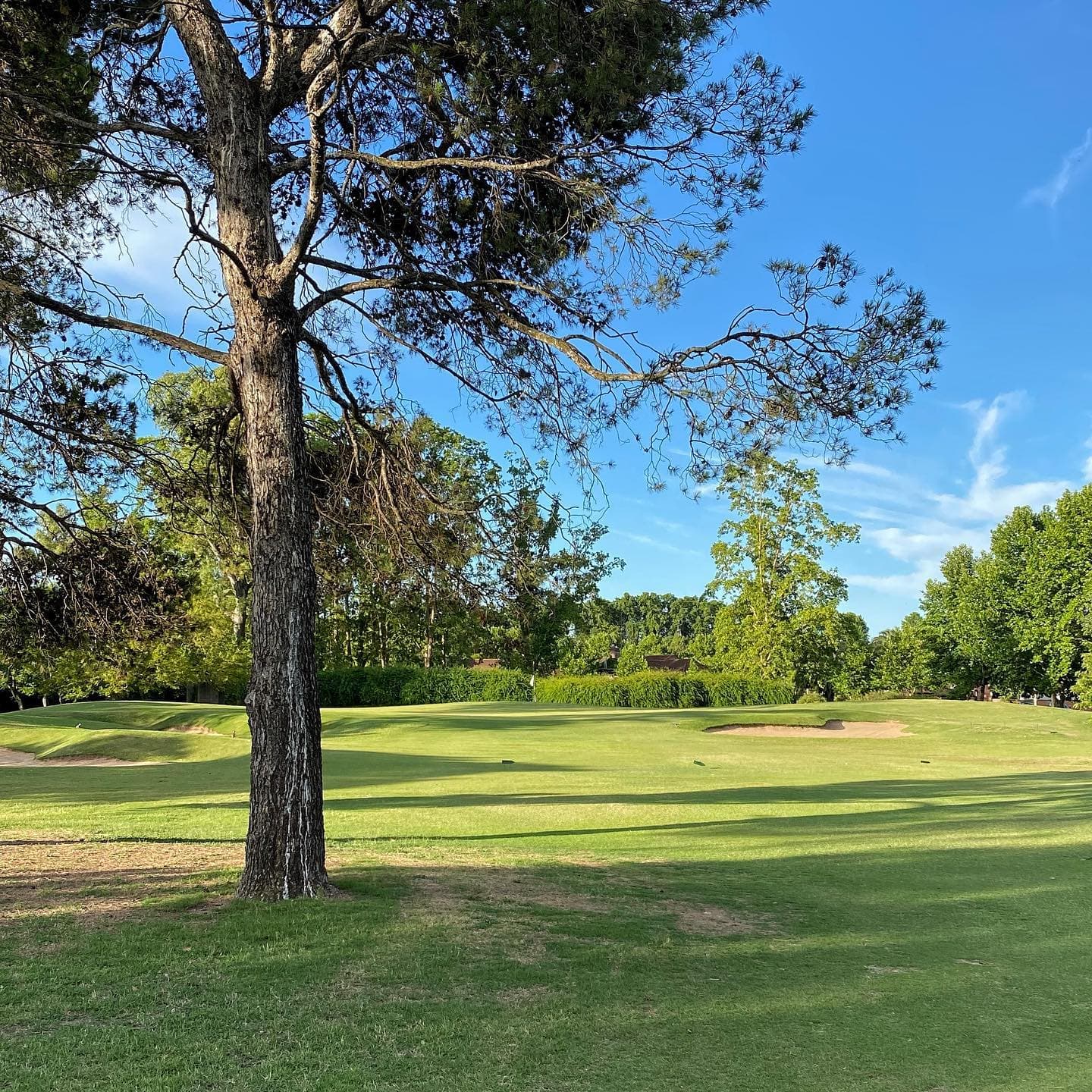 CLUB DE CAMPO LOS PINGÜINOS