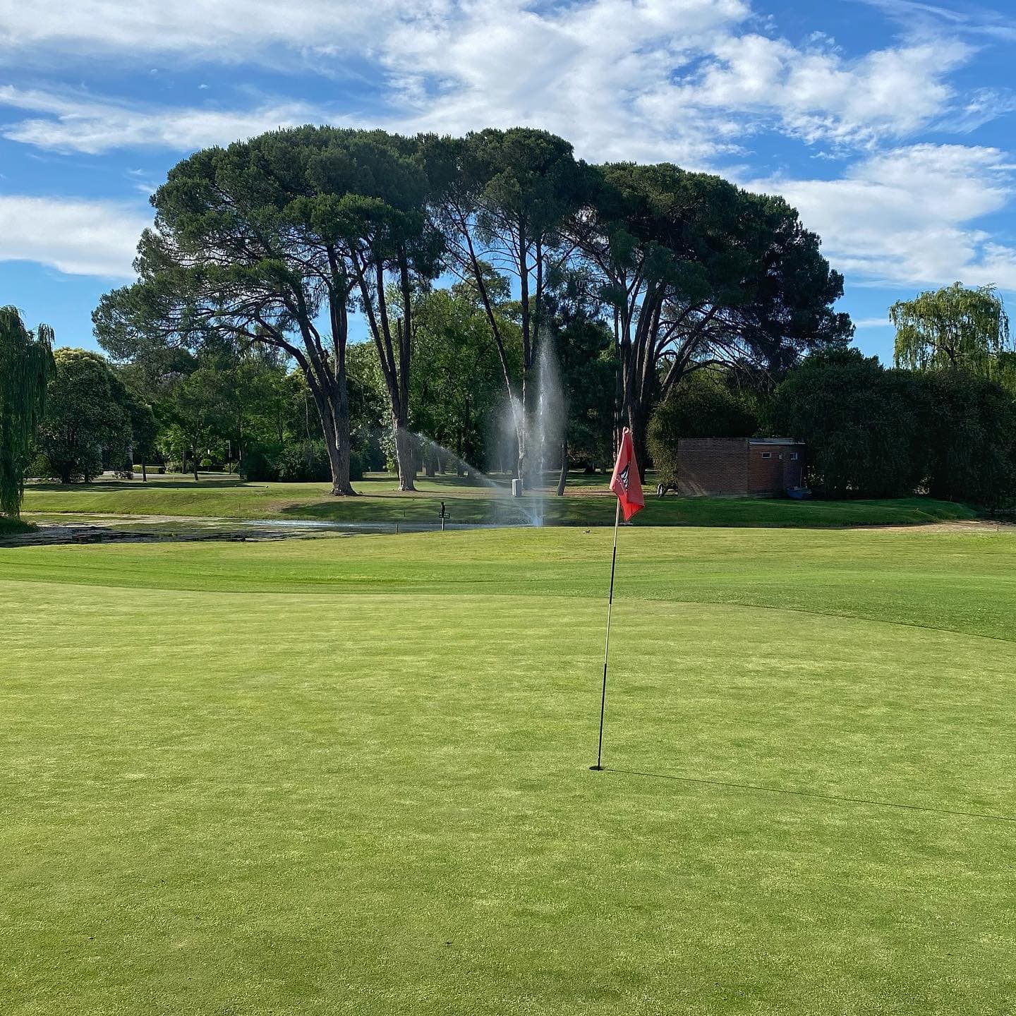 CLUB DE CAMPO LOS PINGÜINOS