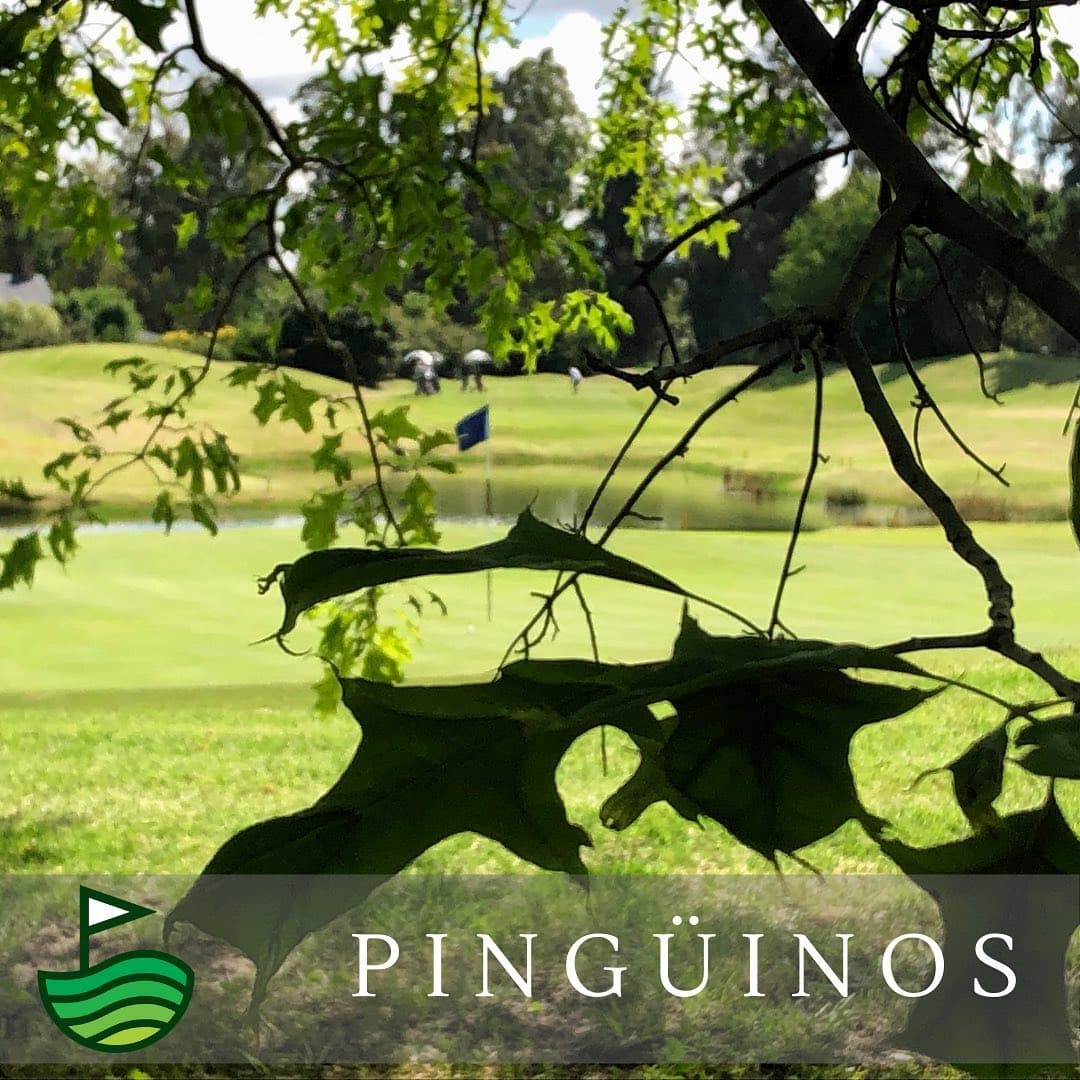 CLUB DE CAMPO LOS PINGÜINOS