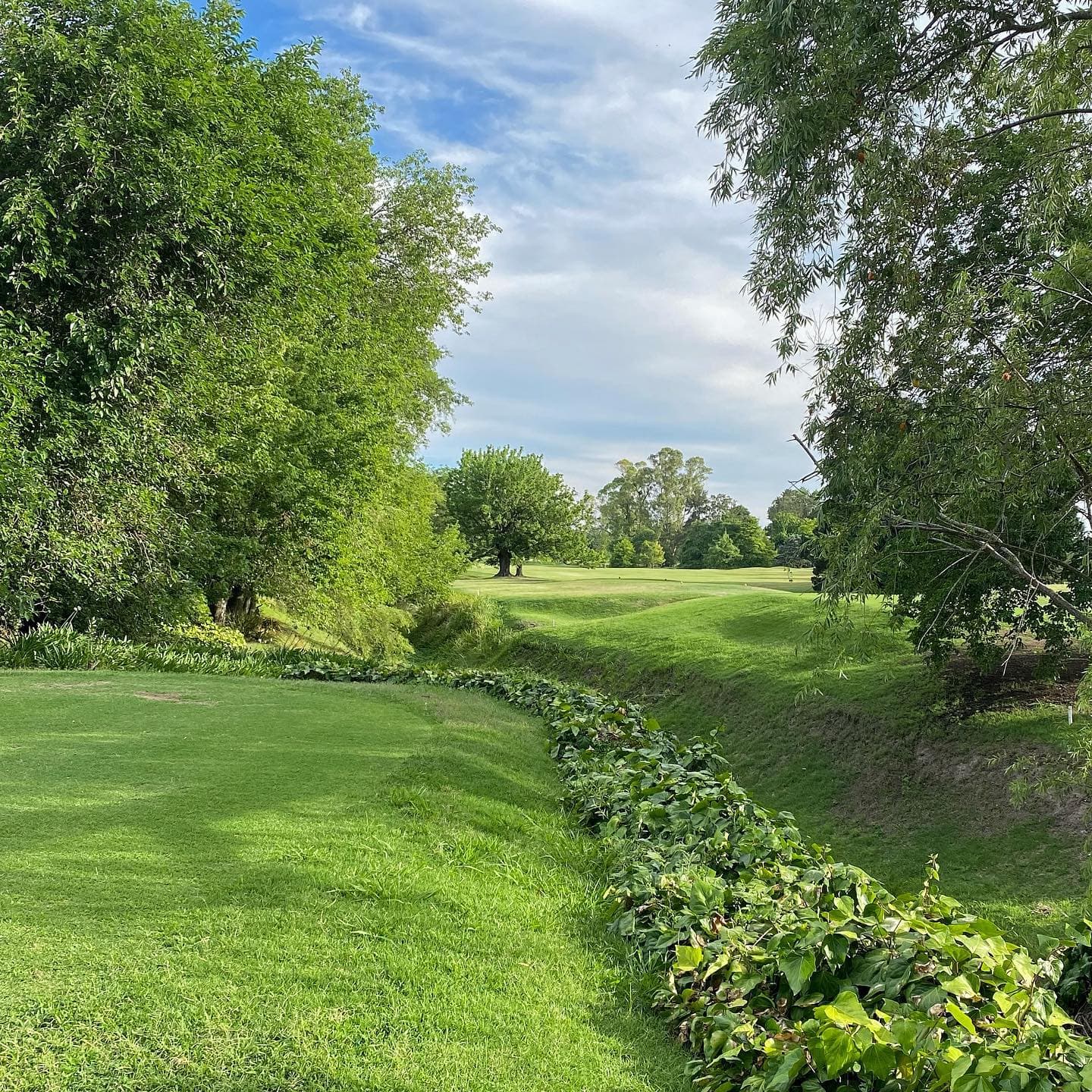 CLUB DE CAMPO LOS PINGÜINOS