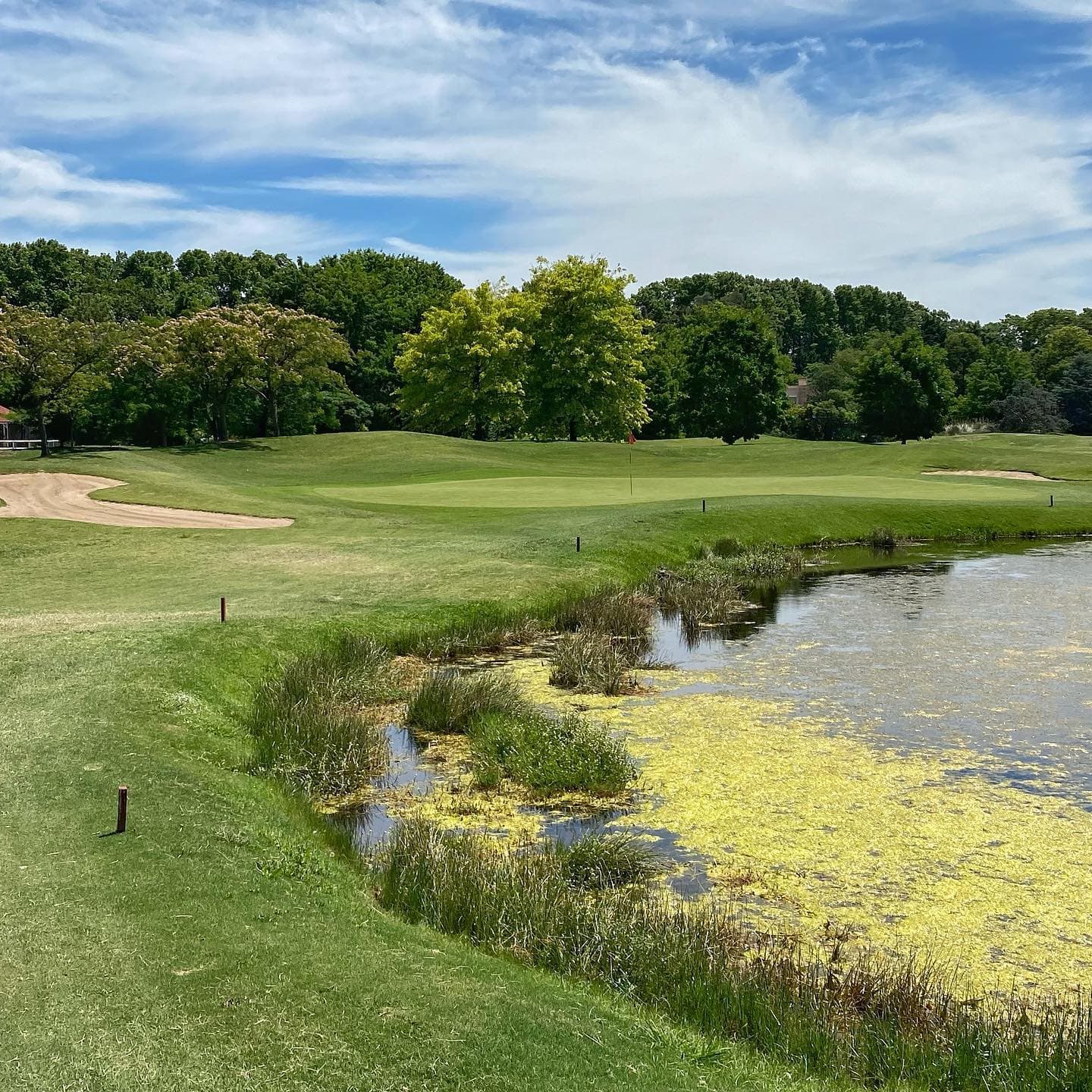 CLUB DE CAMPO LOS PINGÜINOS