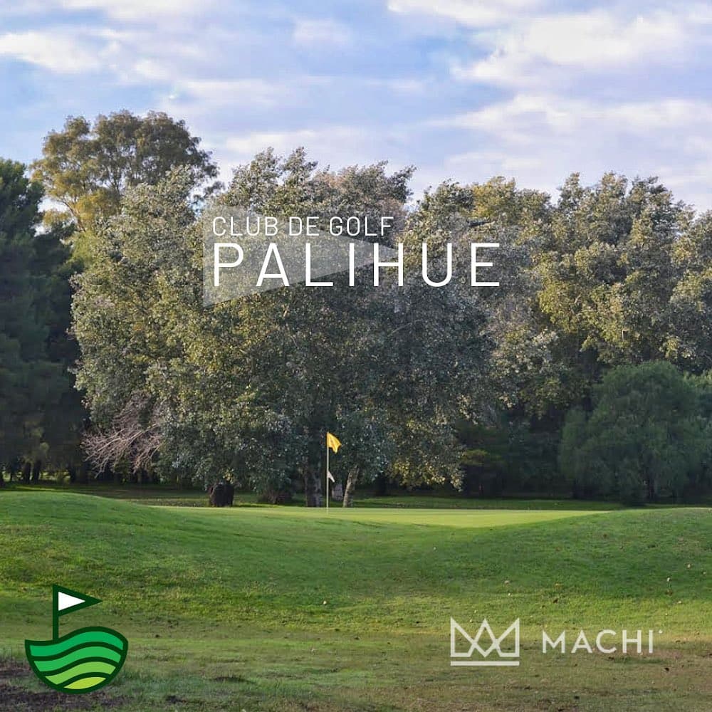 CLUB DE GOLF PALIHUE