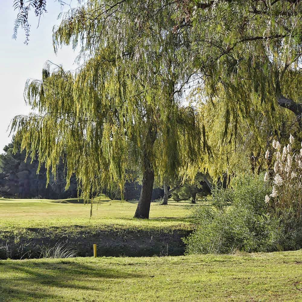 CLUB DE GOLF PALIHUE