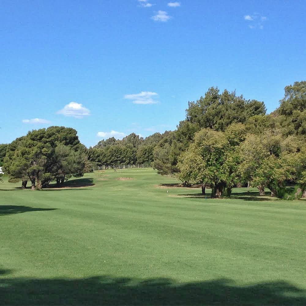 CLUB DE GOLF PALIHUE