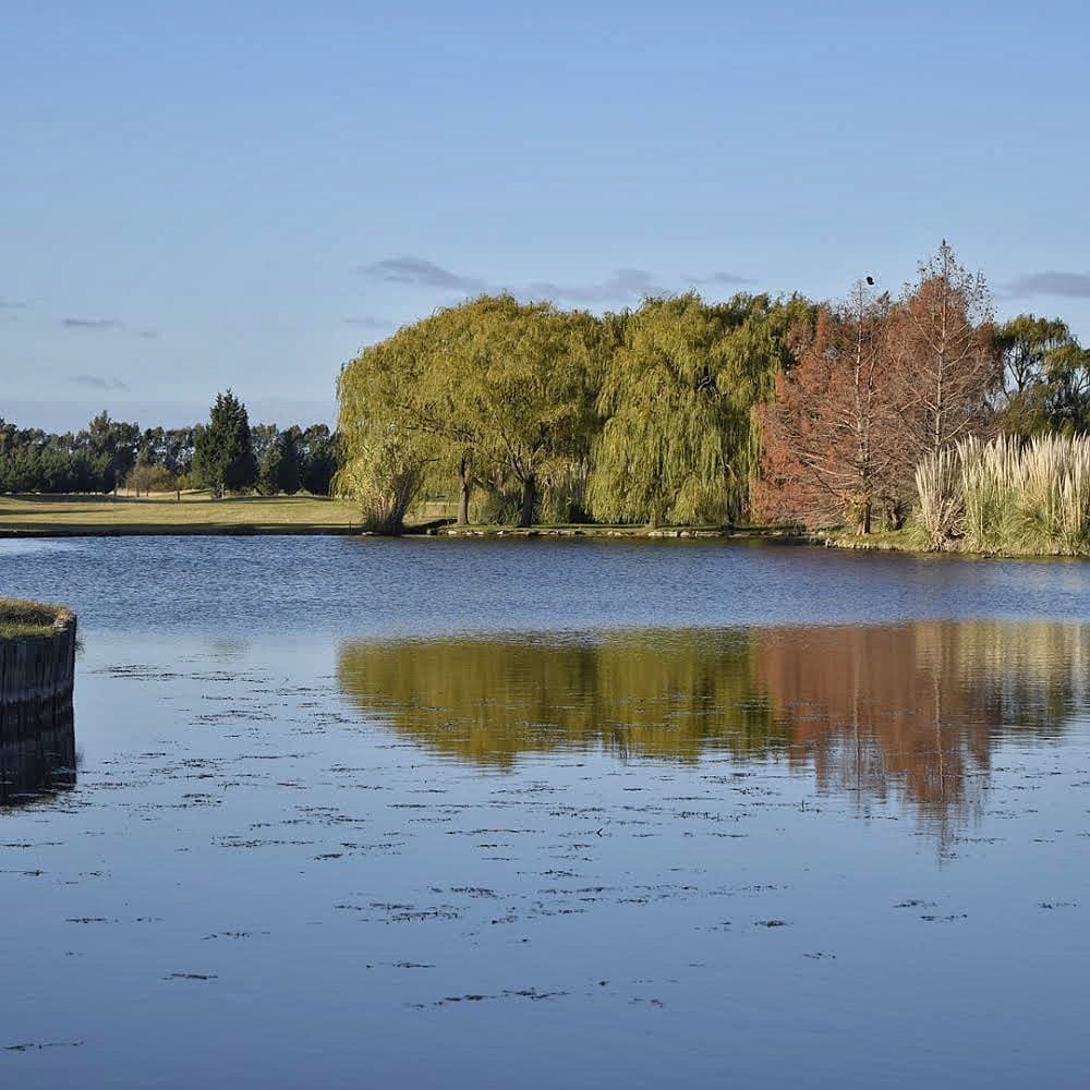 CLUB DE GOLF PALIHUE