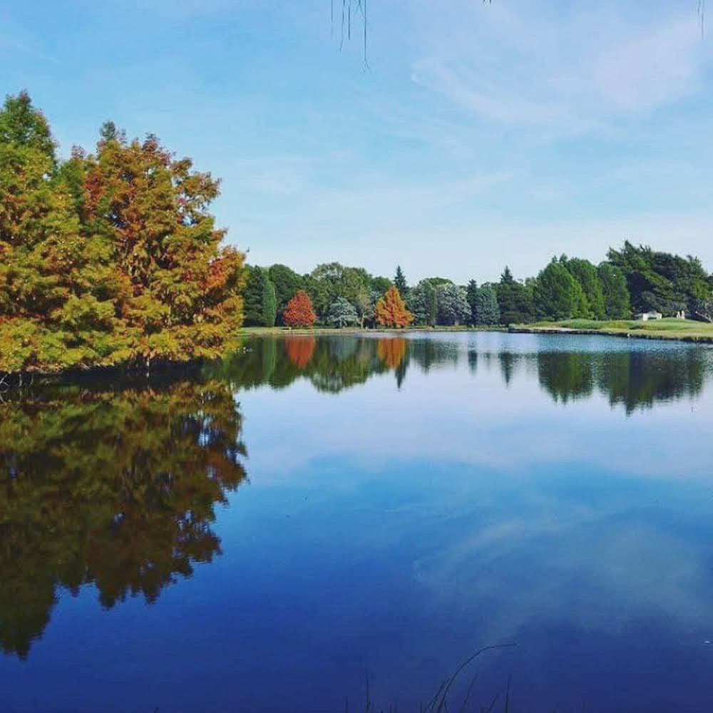 CLUB DE GOLF PALIHUE