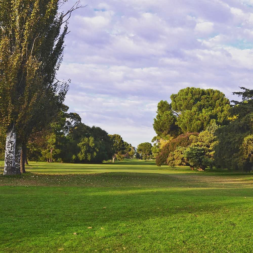 CLUB DE GOLF PALIHUE