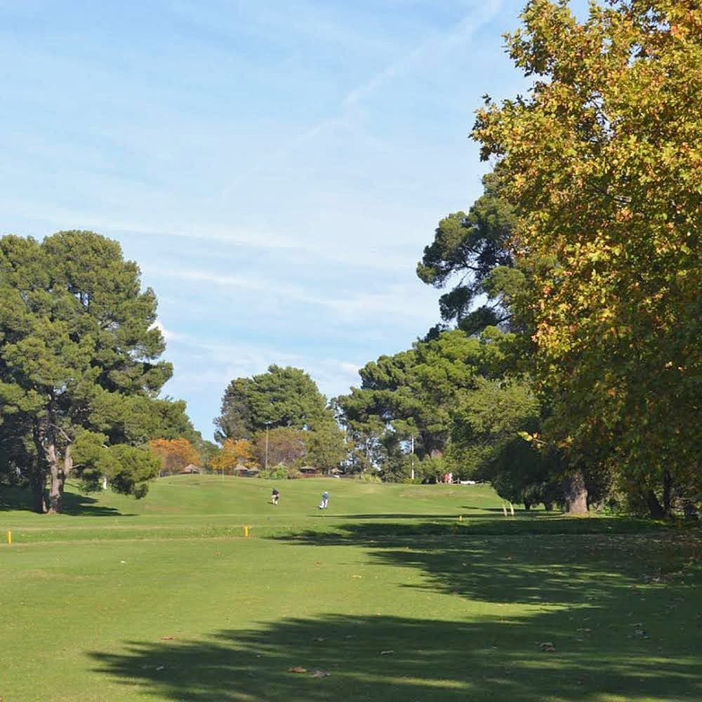 CLUB DE GOLF PALIHUE