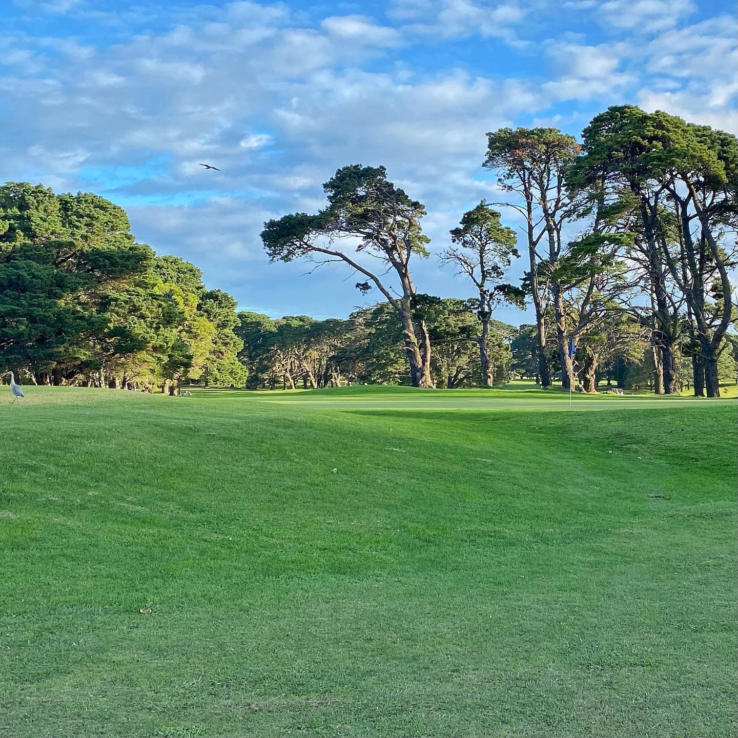 Club Mar del Plata - Acantilados