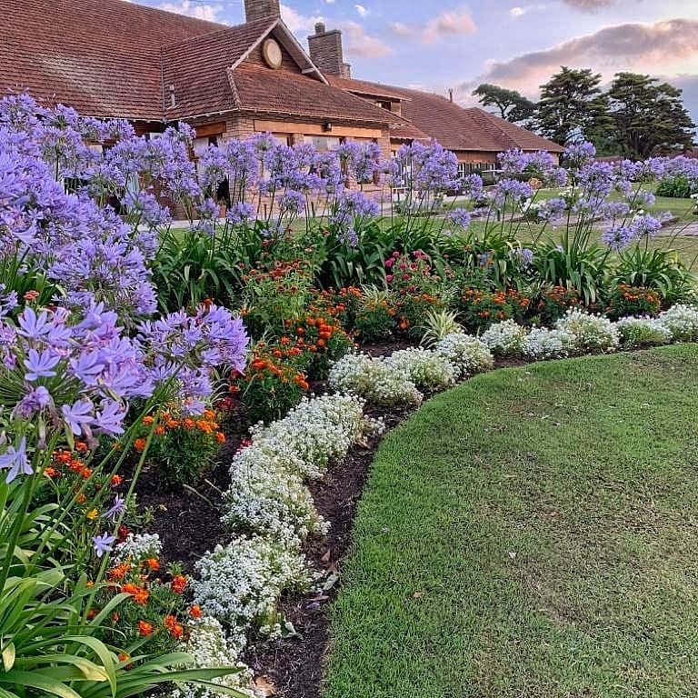 Club Mar del Plata - Acantilados