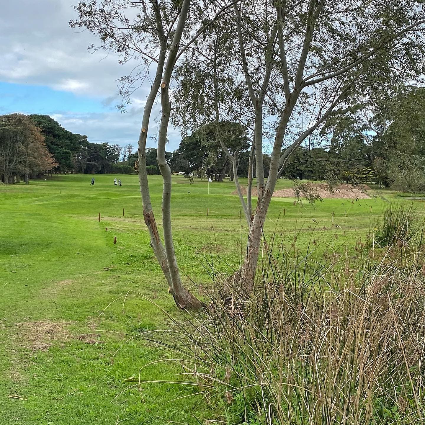 Club Mar del Plata - Acantilados