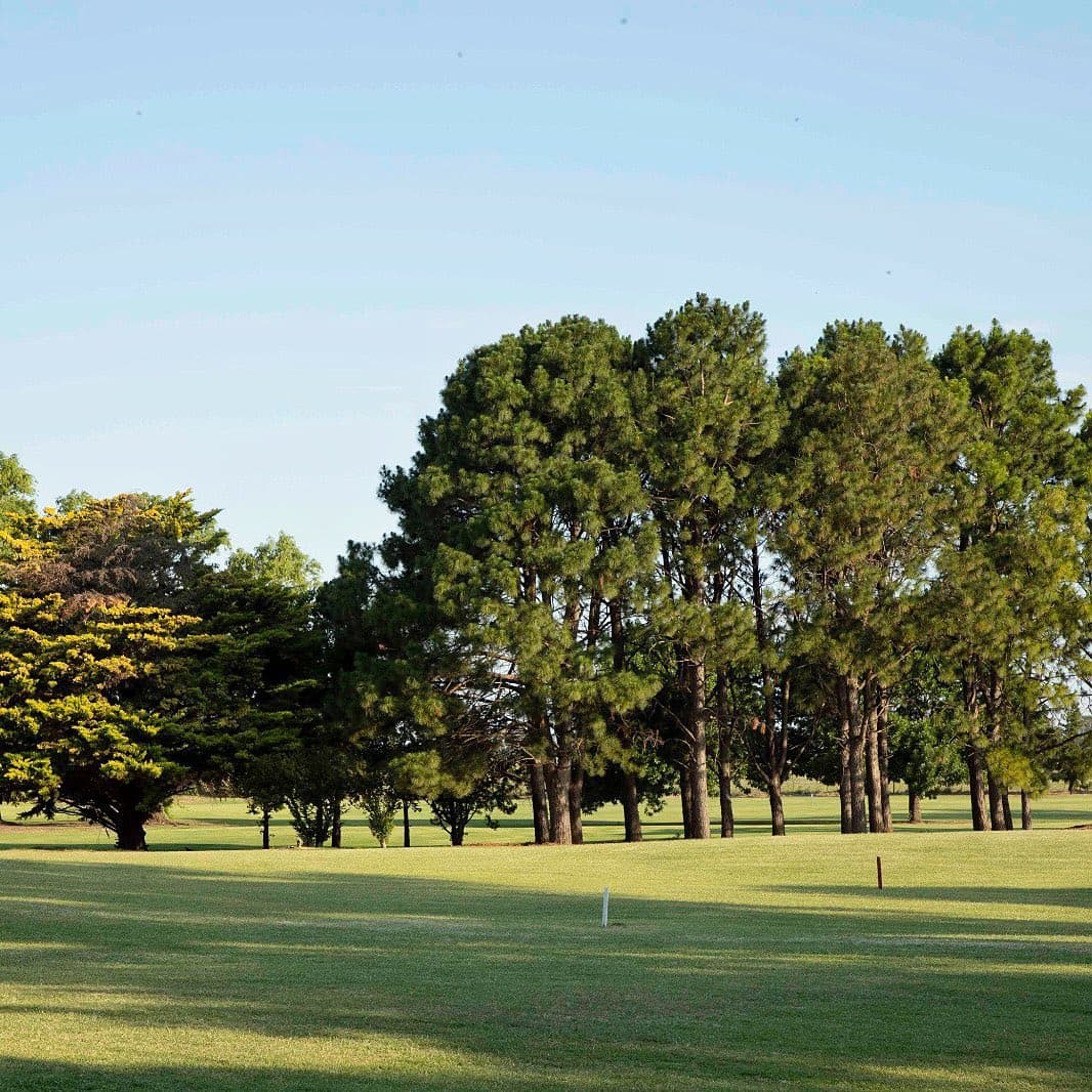 CLUB MUN. DE GOLF FORTIN TORDILLO
