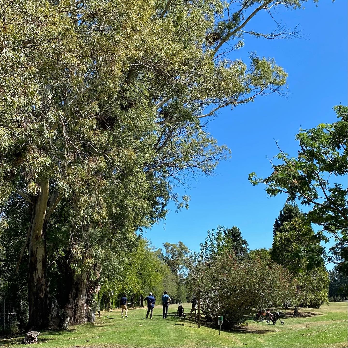 CLUB PRIVADO LOMA VERDE