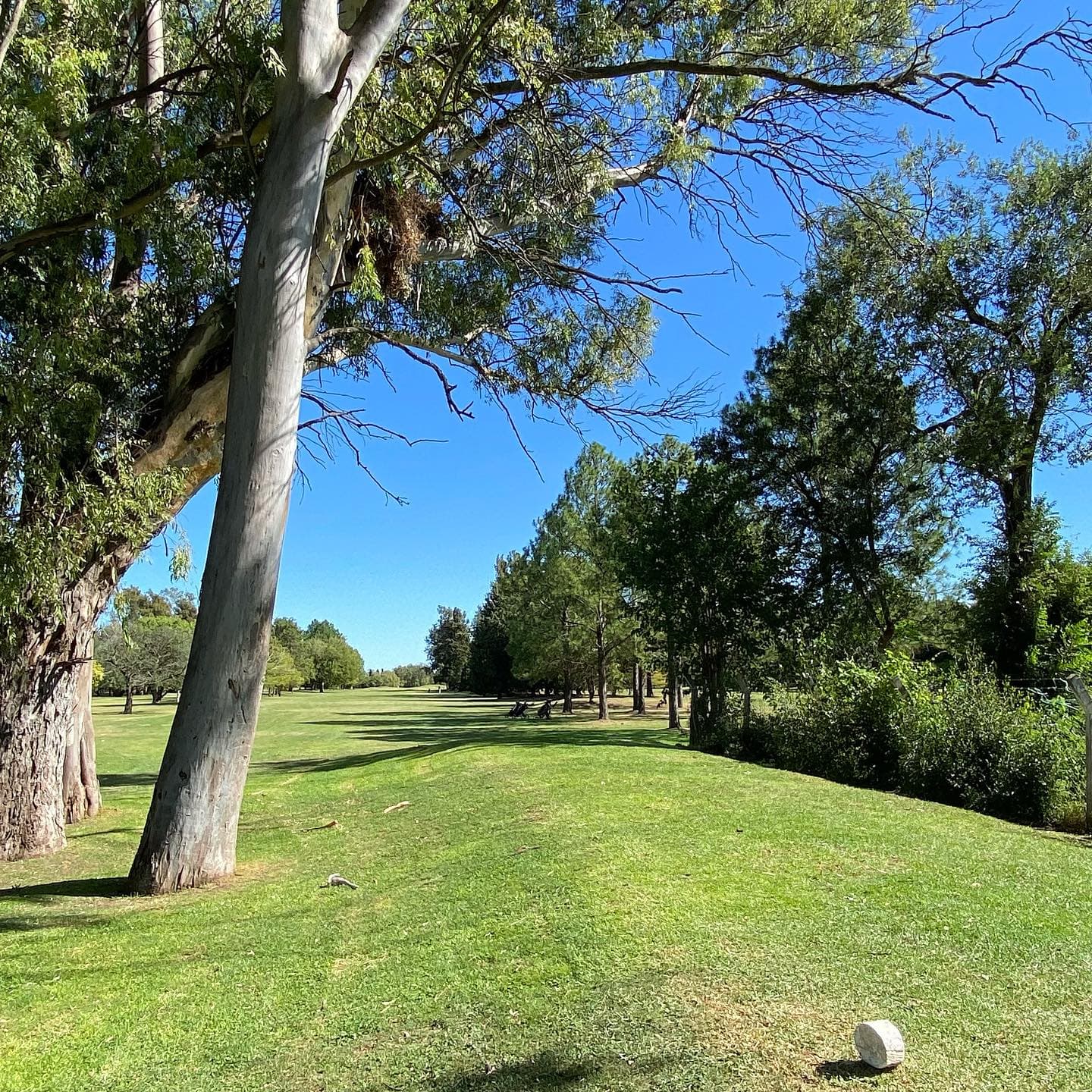 CLUB PRIVADO LOMA VERDE