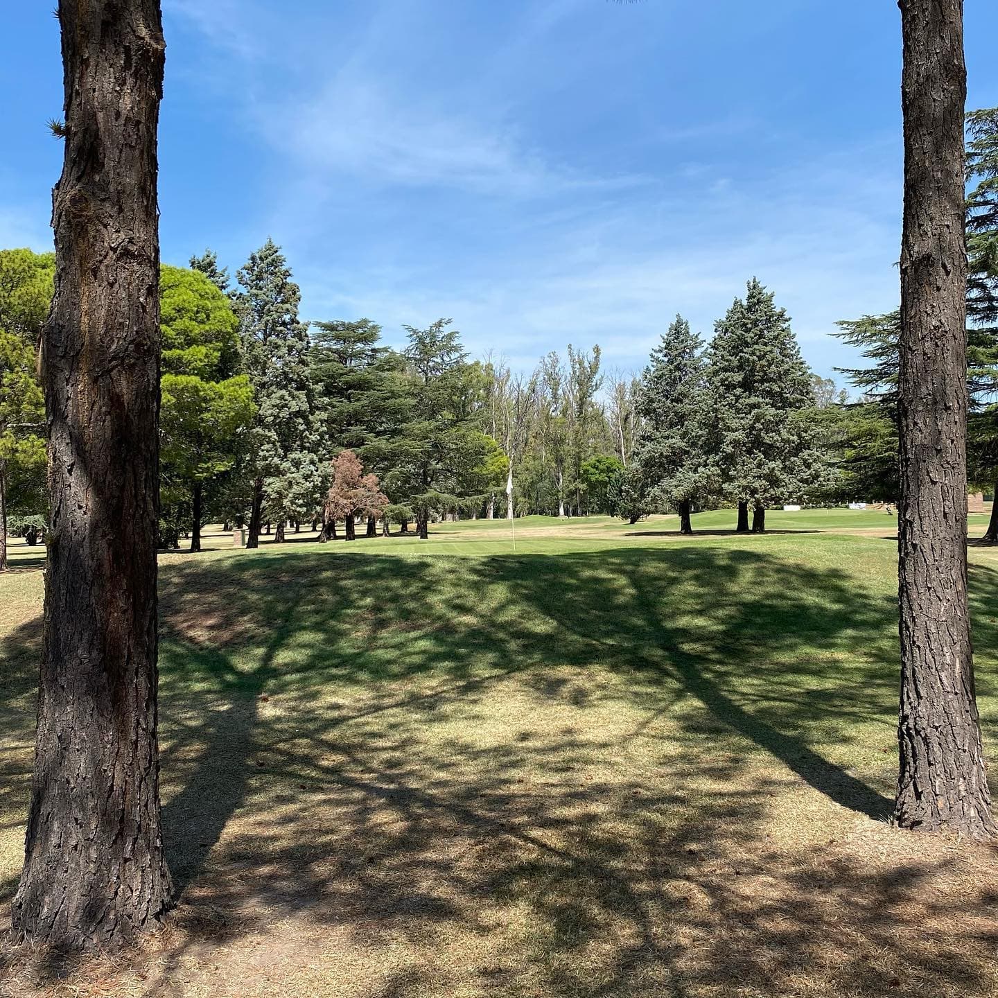 CLUB SOC. Y DEP. GRAL. MITRE (PEREZ)