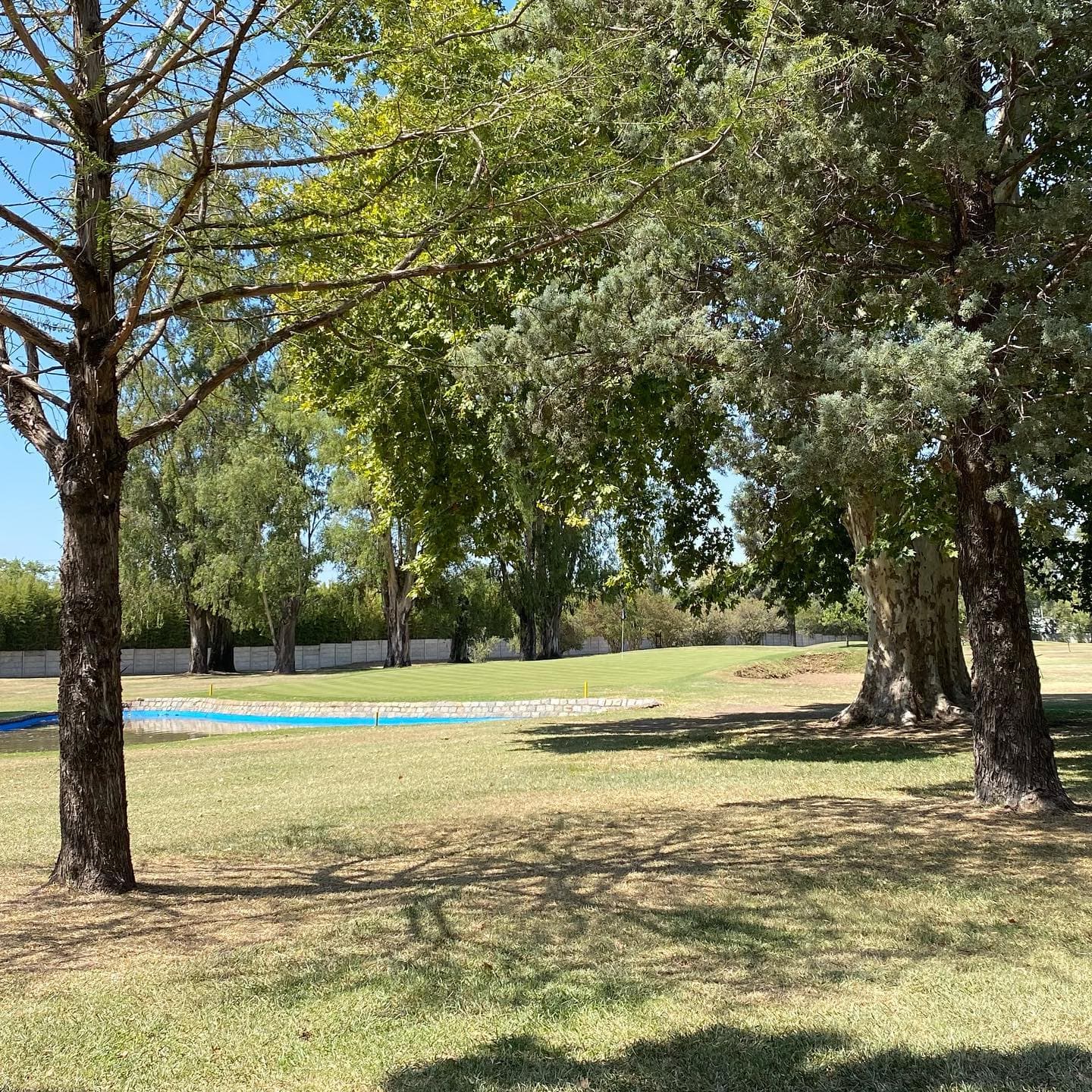 CLUB SOC. Y DEP. GRAL. MITRE (PEREZ)