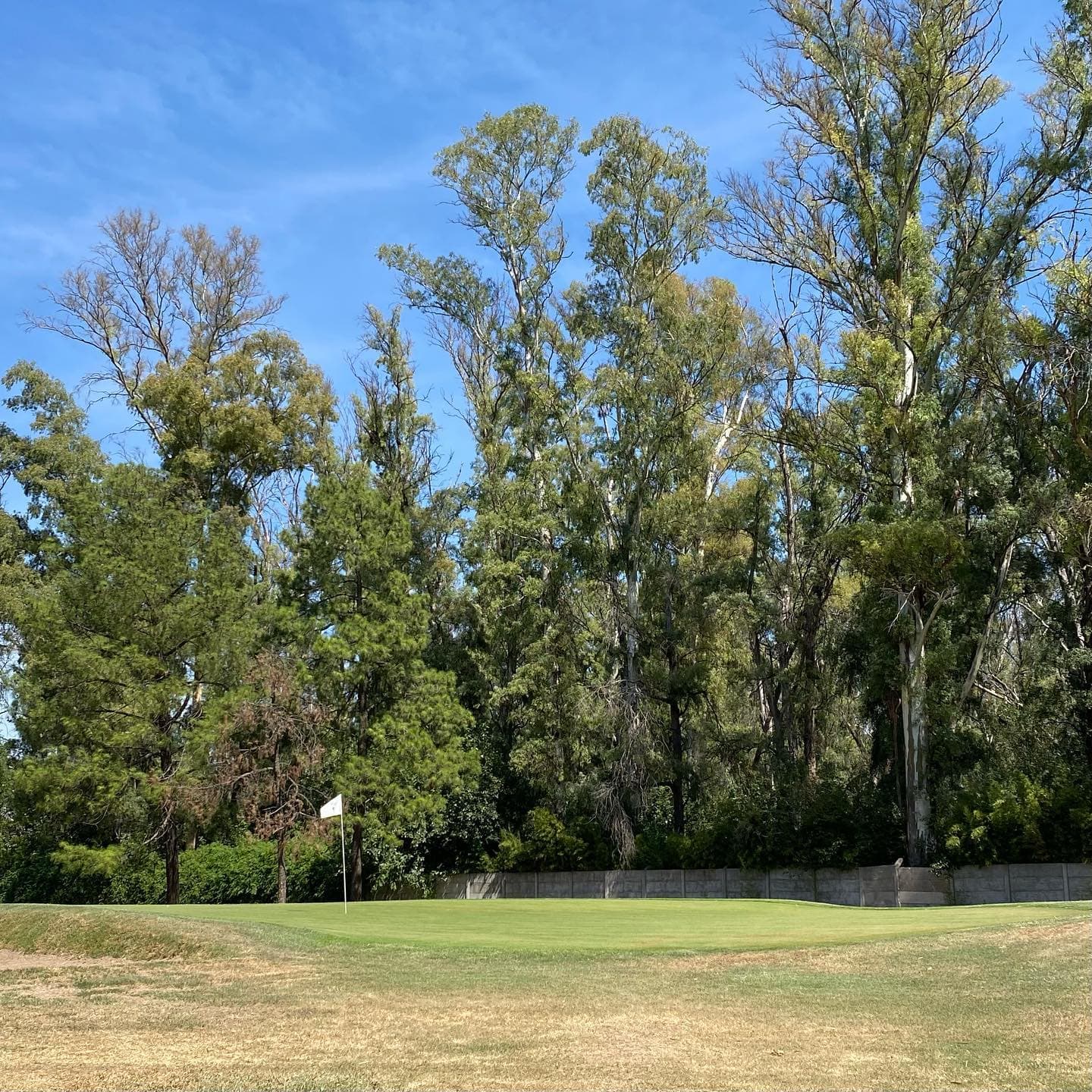 CLUB SOC. Y DEP. GRAL. MITRE (PEREZ)