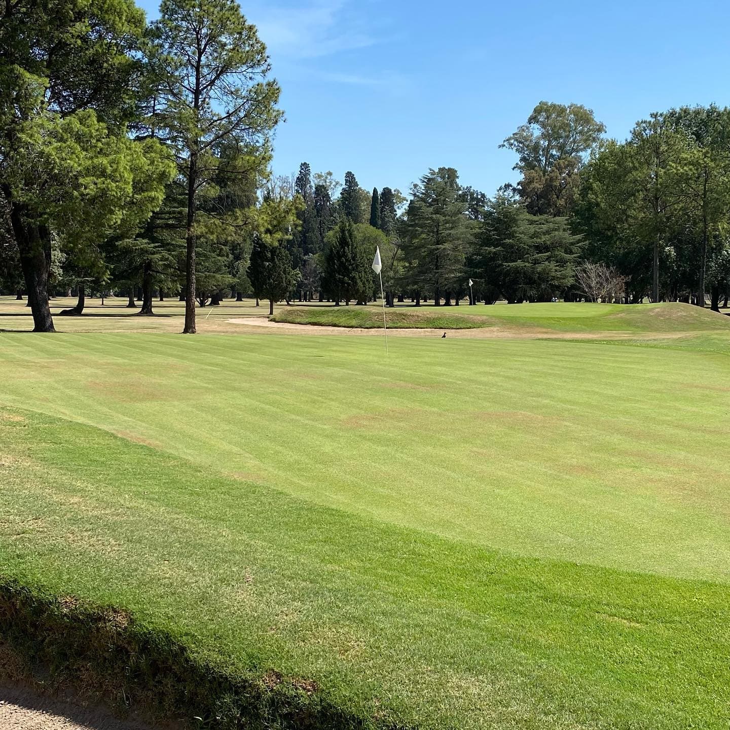 CLUB SOC. Y DEP. GRAL. MITRE (PEREZ)