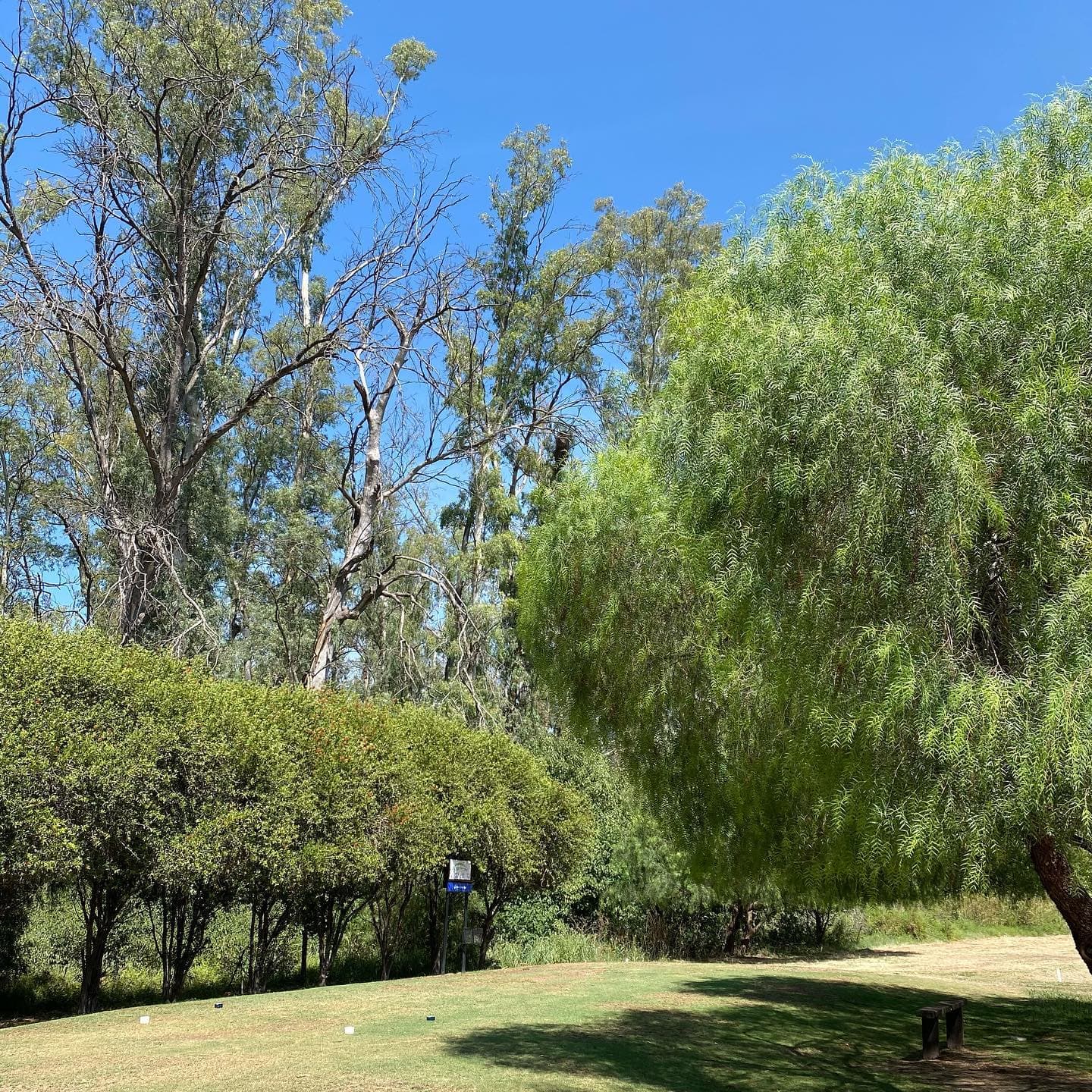 CLUB SOC. Y DEP. GRAL. MITRE (PEREZ)