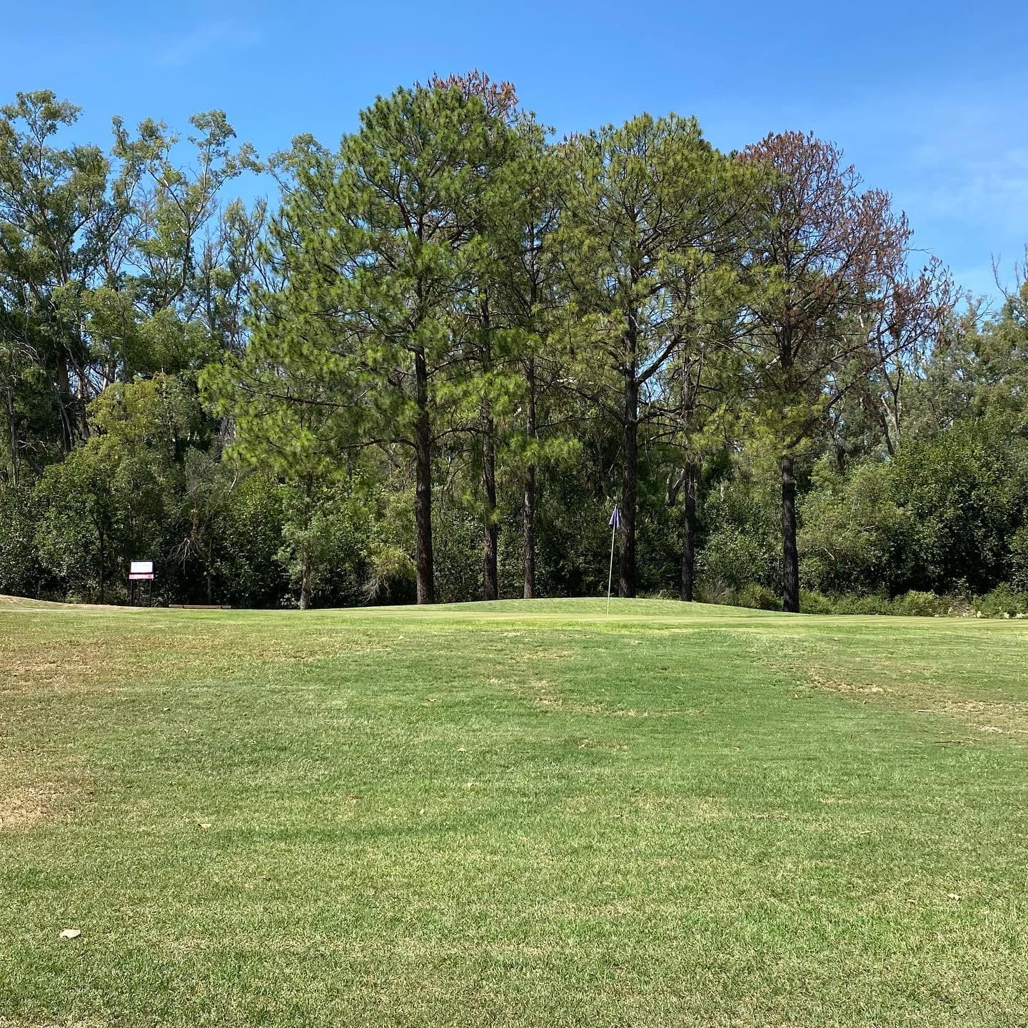 CLUB SOC. Y DEP. GRAL. MITRE (PEREZ)