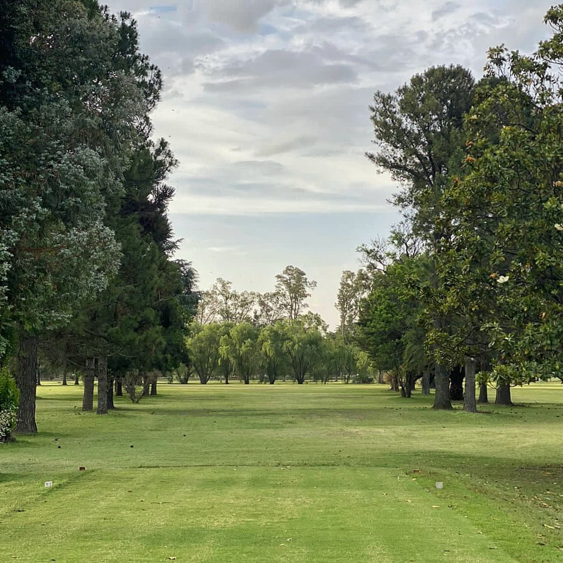 CLUB SOCIAL Y ATLETICO LA PAMPA