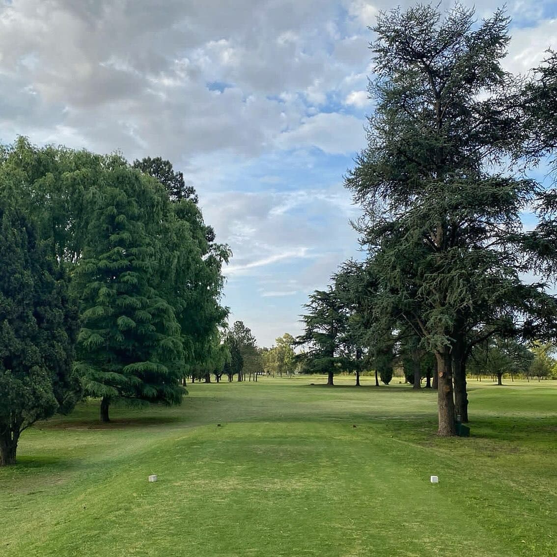 CLUB SOCIAL Y ATLETICO LA PAMPA