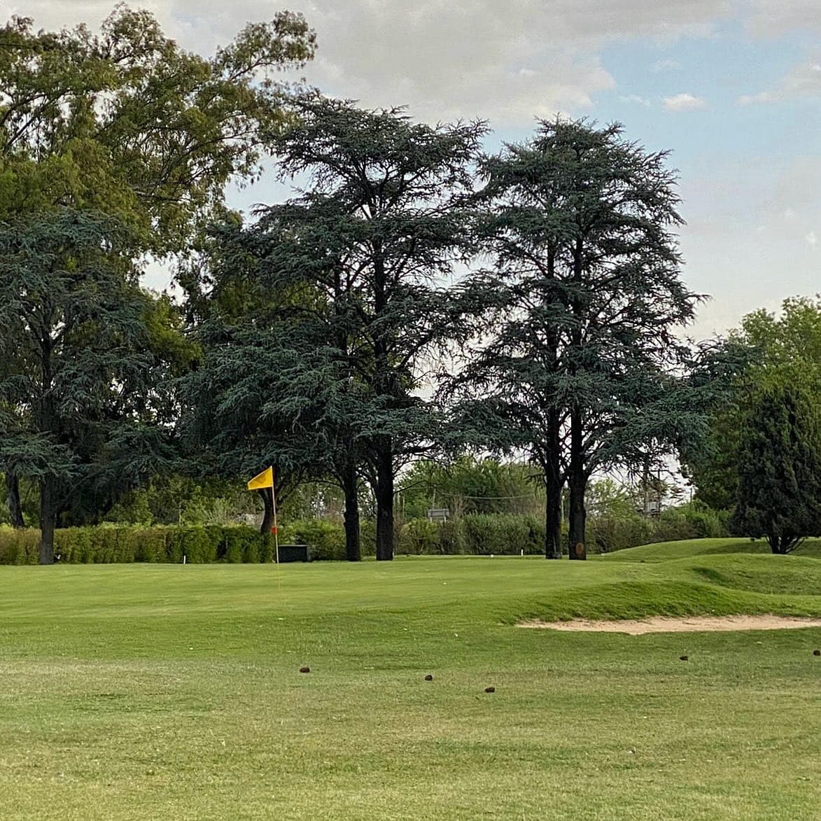 CLUB SOCIAL Y ATLETICO LA PAMPA