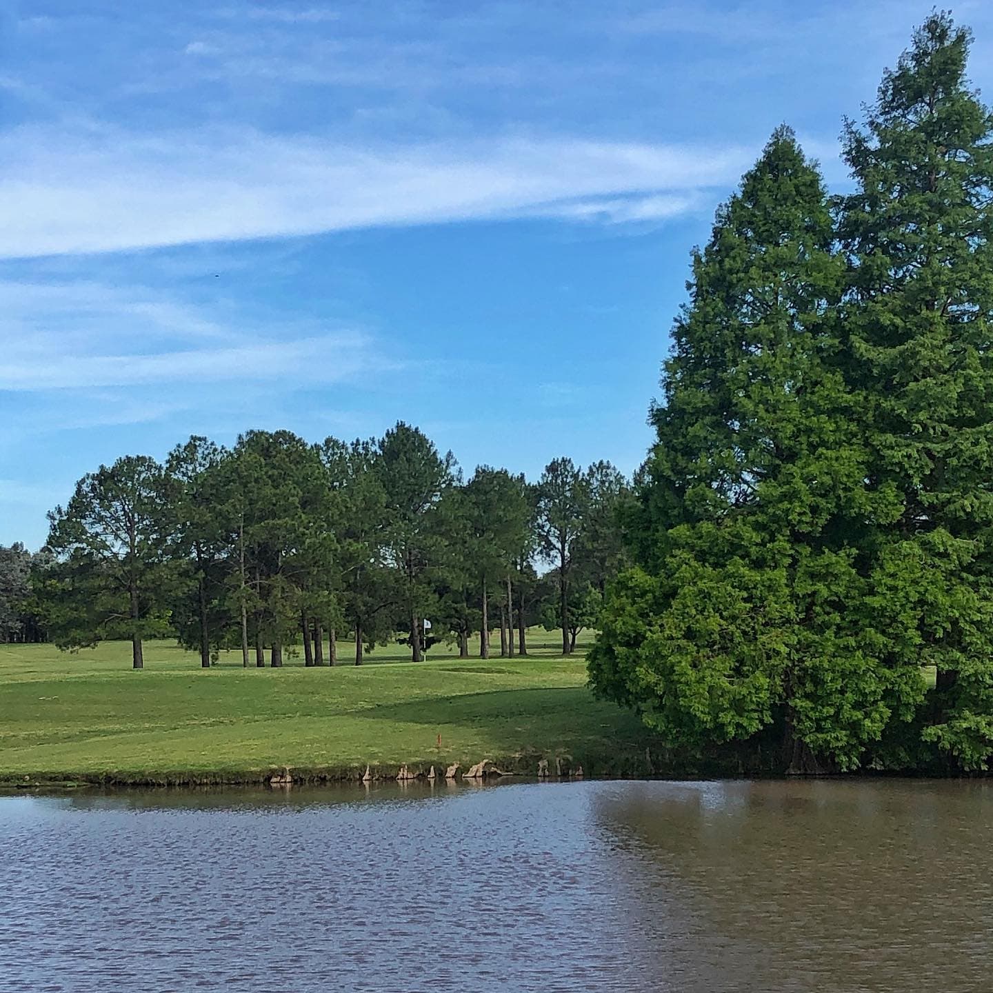 CLUB UNIVERSITARIO BUENOS AIRES