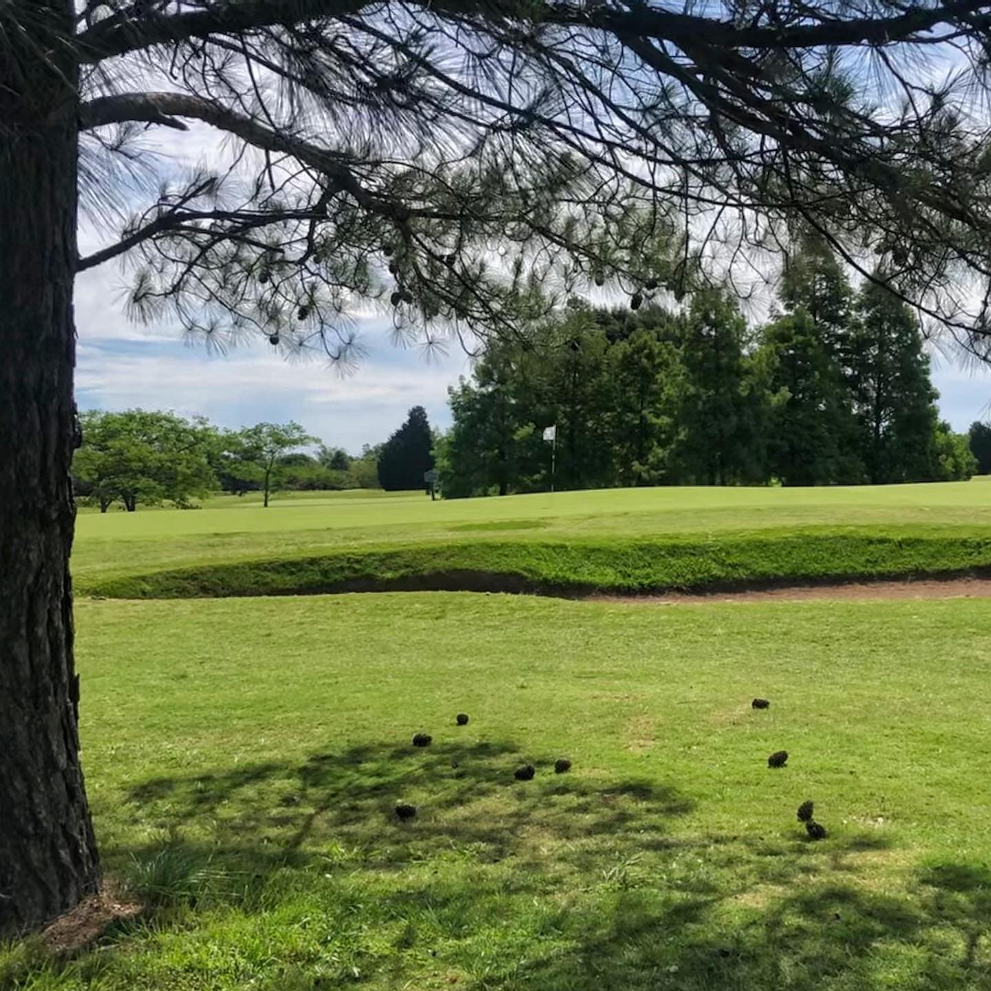 CLUB UNIVERSITARIO BUENOS AIRES