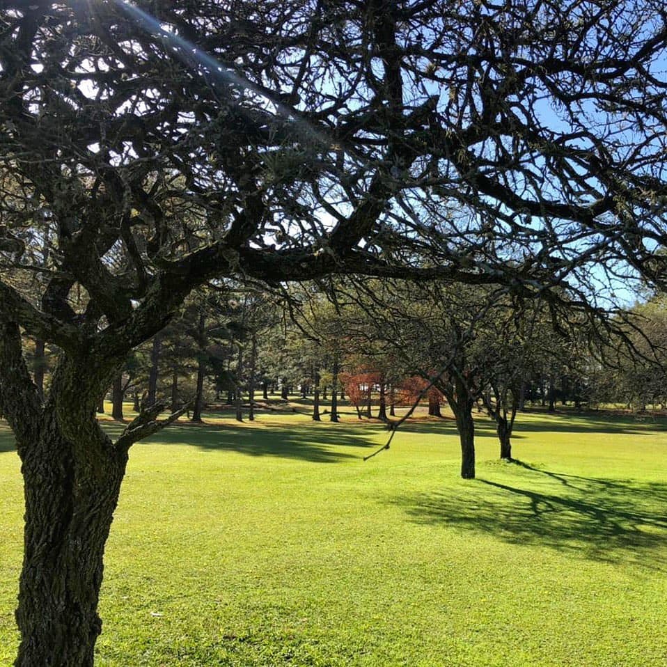 CLUB UNIVERSITARIO (CONC. URUGUAY)