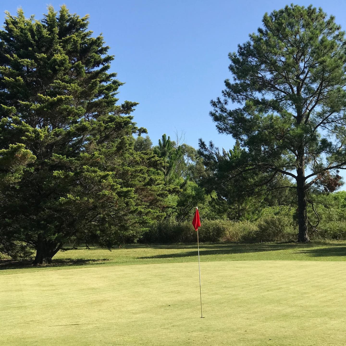 CLUB UNIVERSITARIO (CONC. URUGUAY)