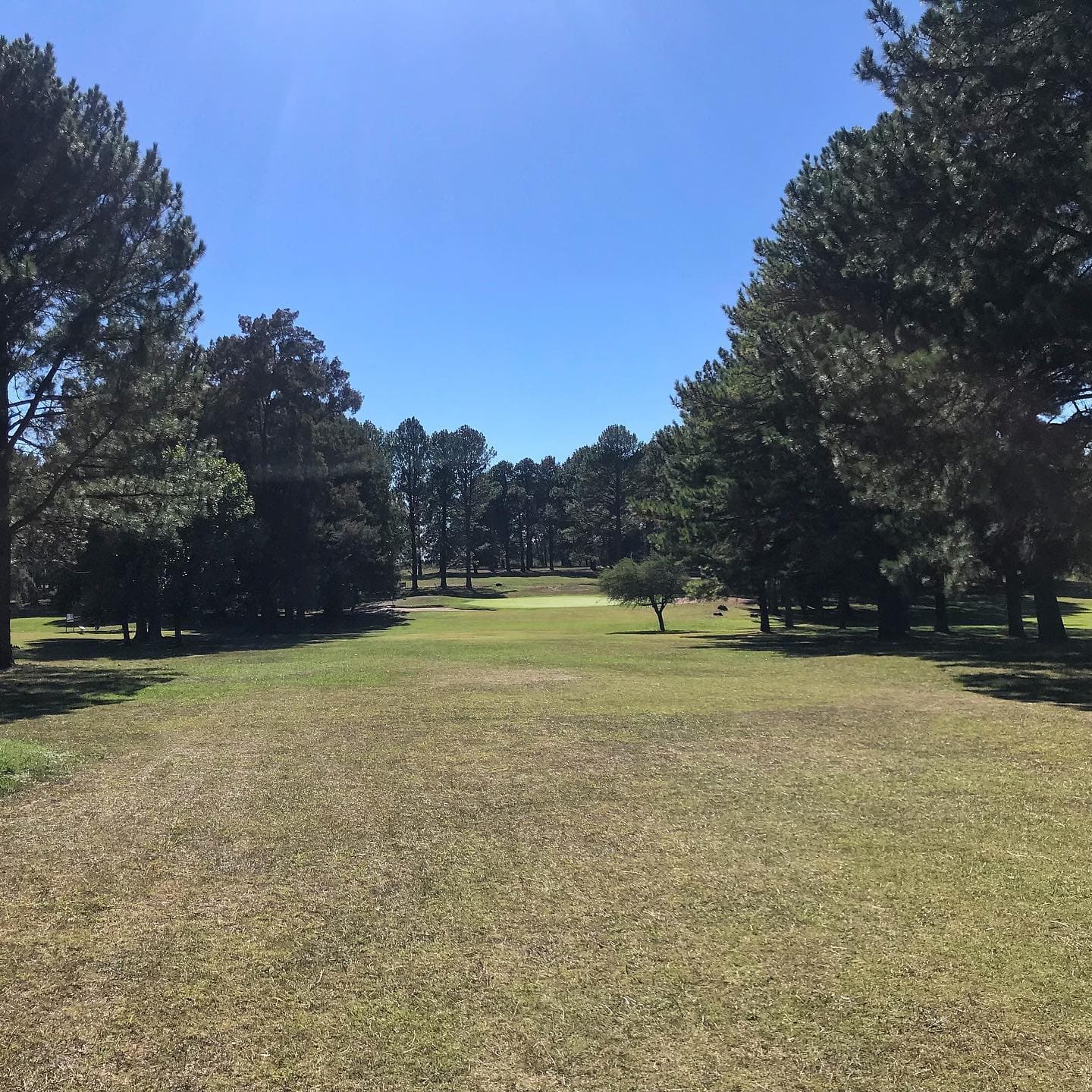 CLUB UNIVERSITARIO (CONC. URUGUAY)