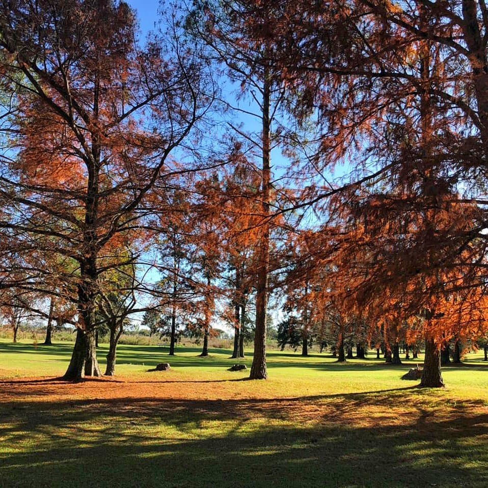 CLUB UNIVERSITARIO (CONC. URUGUAY)