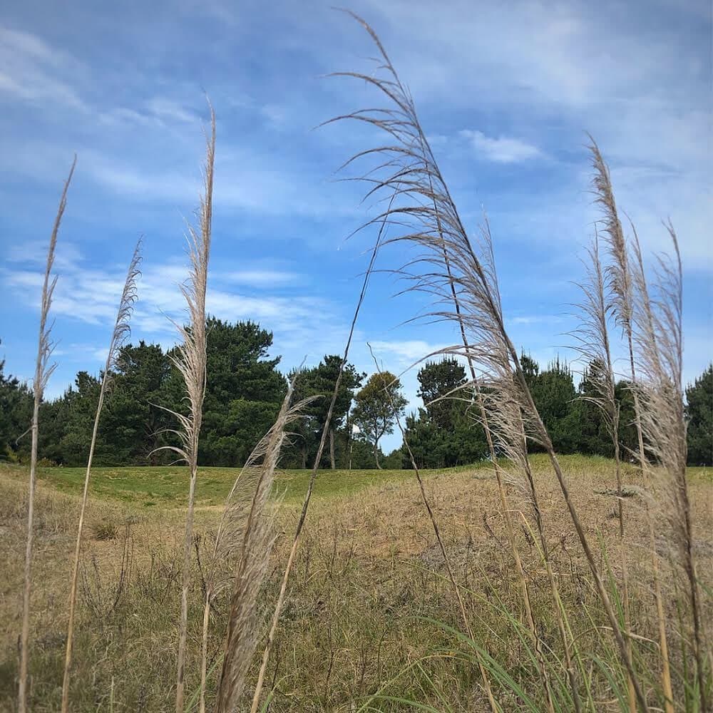 COSTA ESMERALDA GOLF CLUB