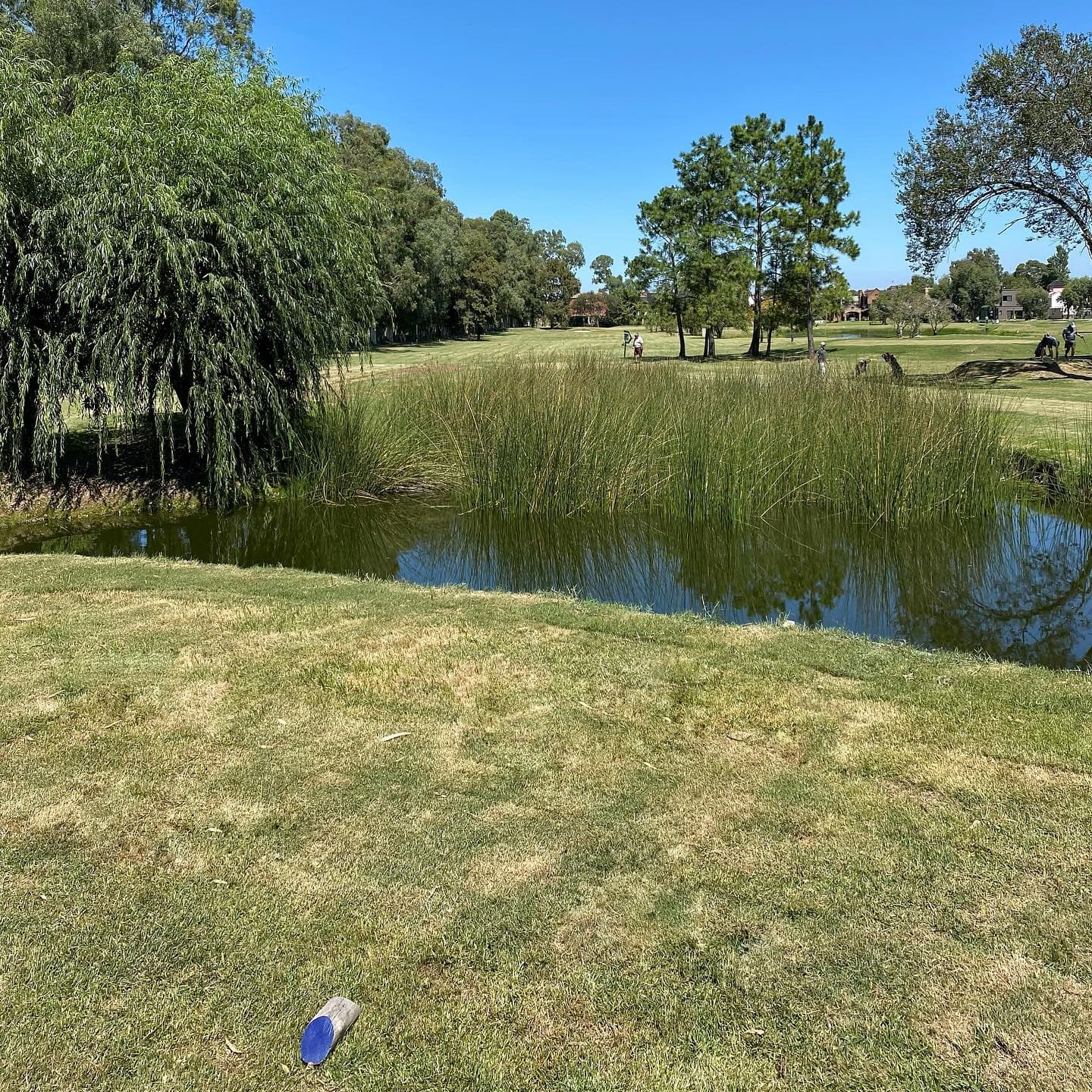 COUNTRY CLUB EL BOSQUE