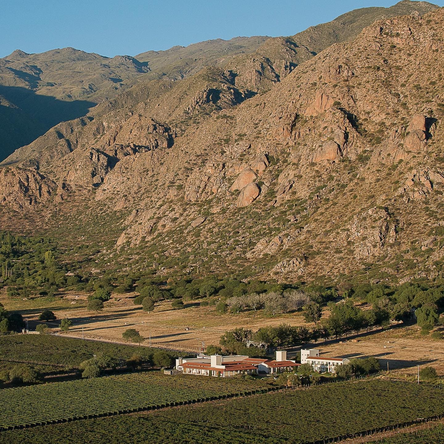 COUNTRY  Y GOLF LAS YUNGAS