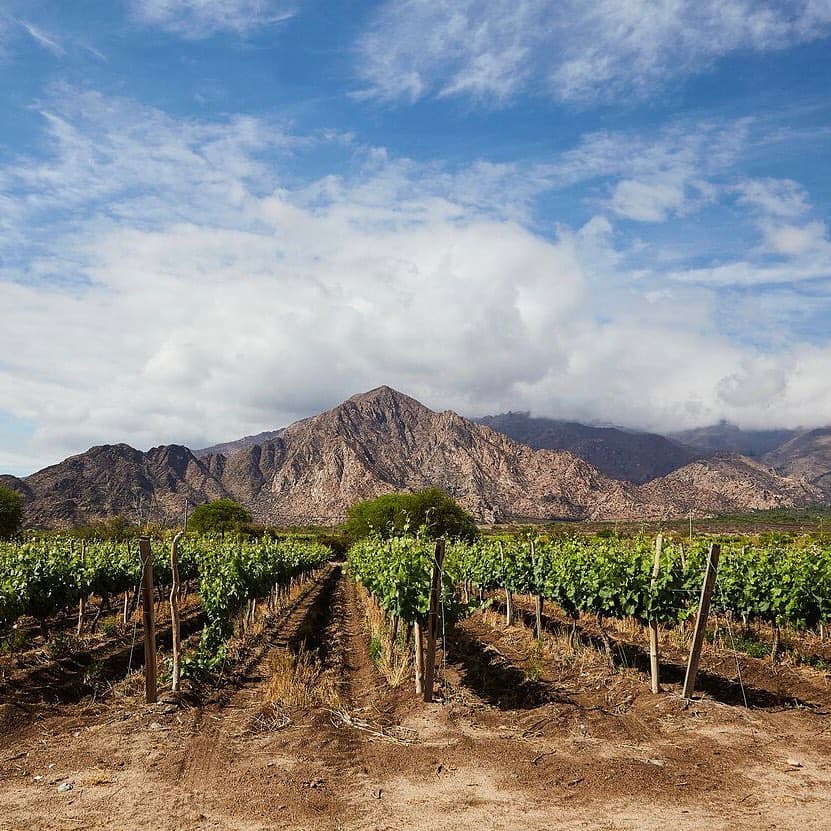 COUNTRY  Y GOLF LAS YUNGAS