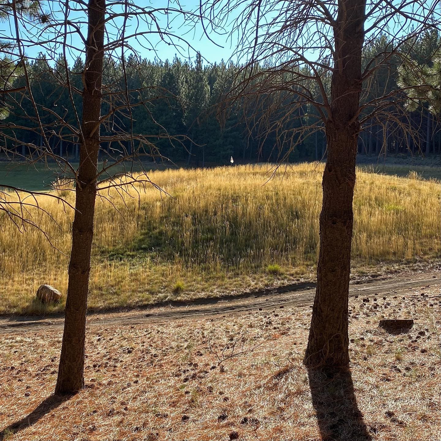 El Desafío Mountain Resort