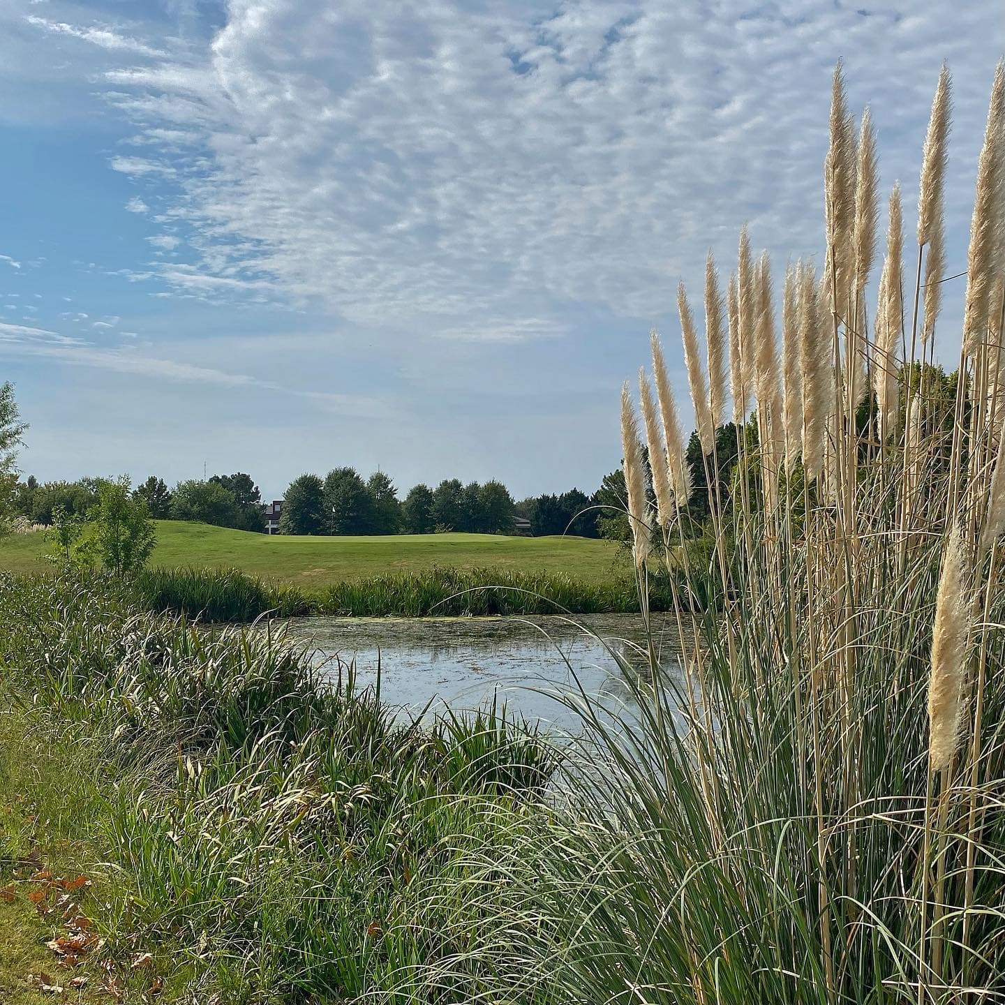 El NACIONAL CLUB DE CAMPO