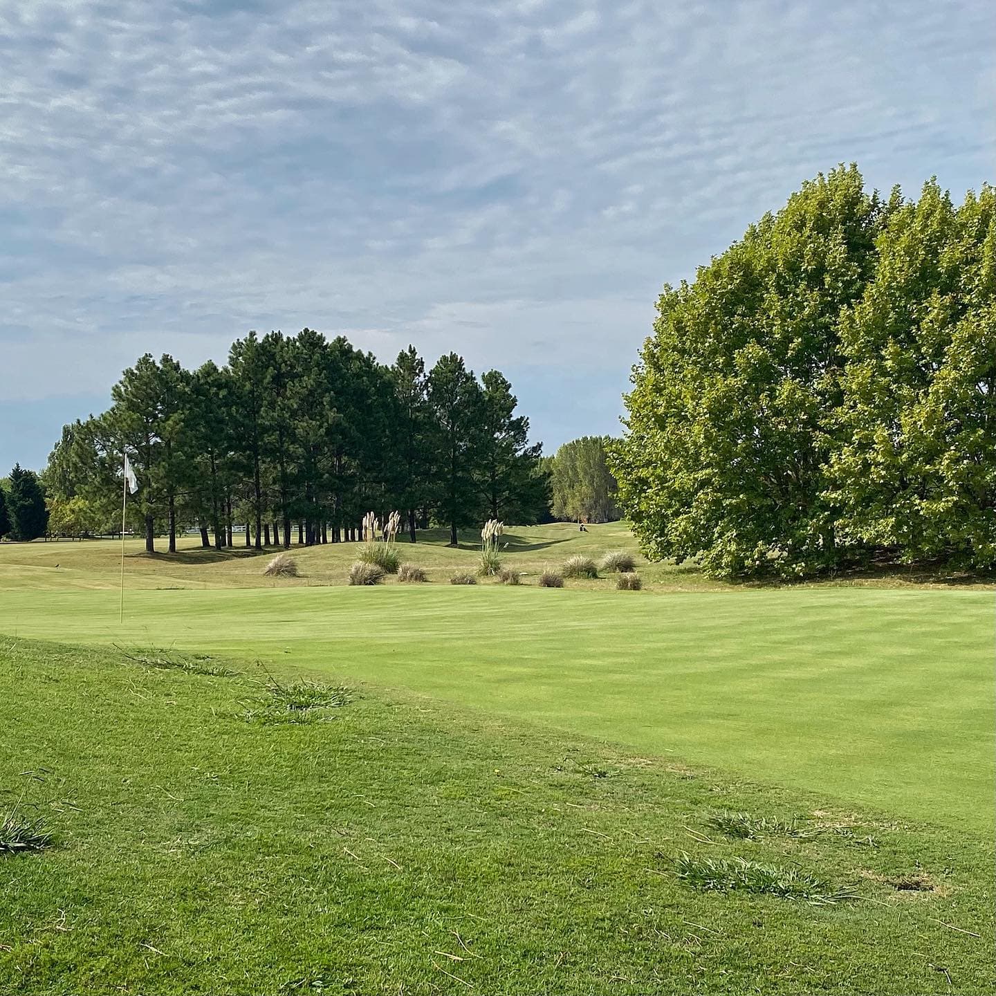 El NACIONAL CLUB DE CAMPO