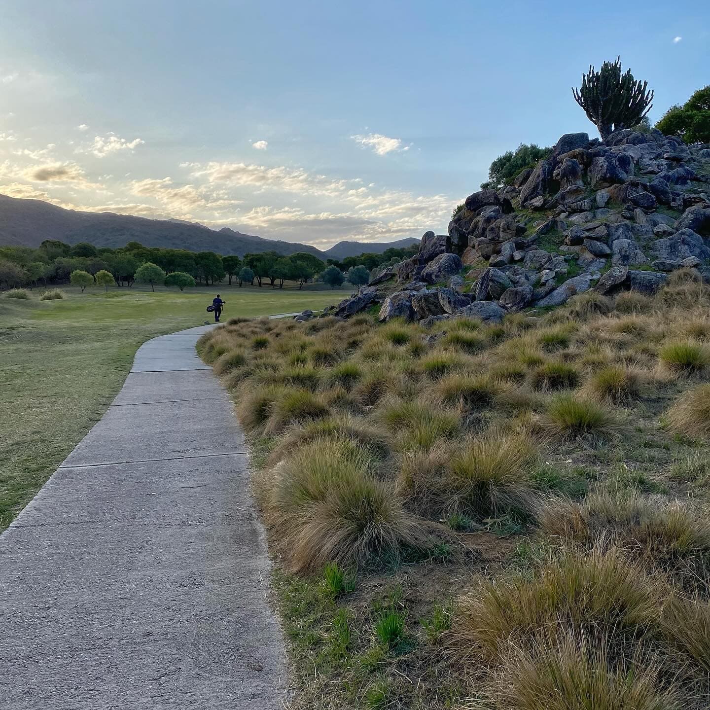 EL POTRERILLO DE LARRETA C. CLUB