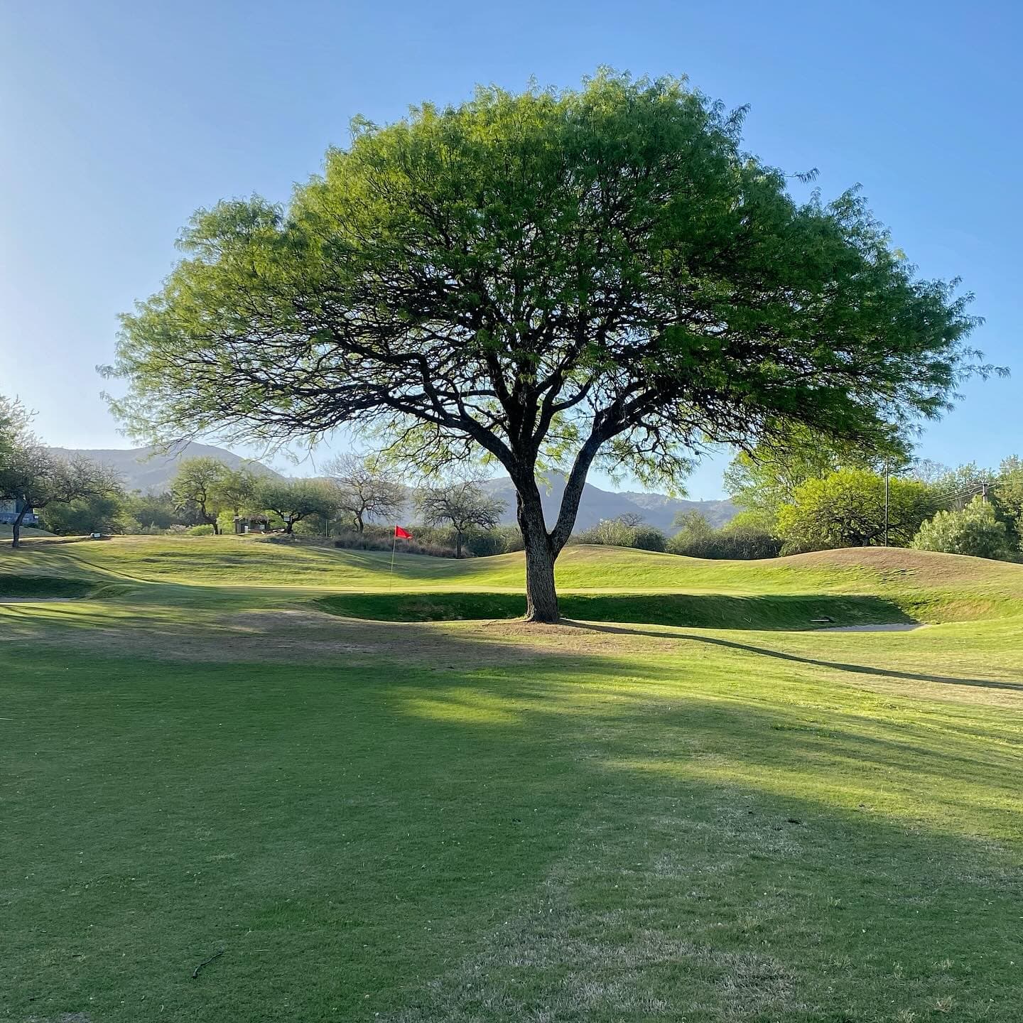 EL POTRERILLO DE LARRETA C. CLUB