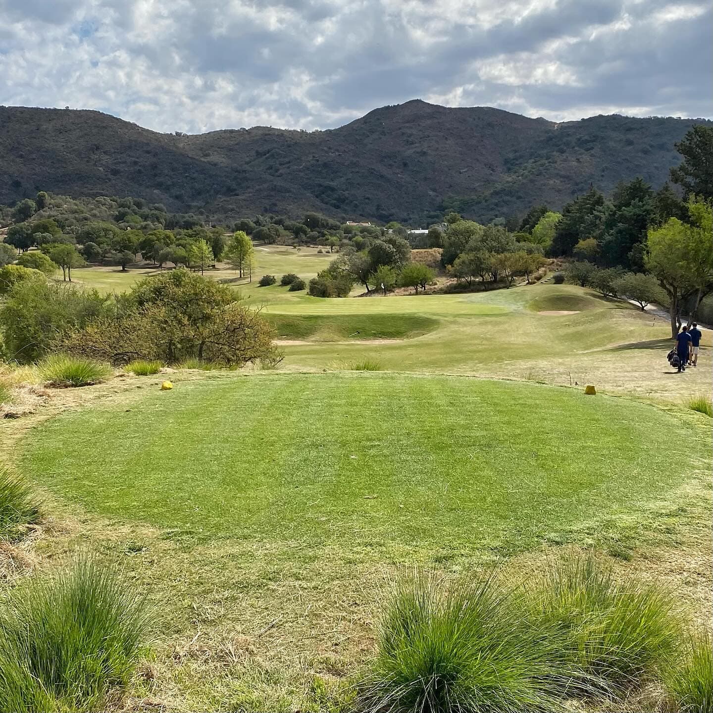 EL POTRERILLO DE LARRETA C. CLUB