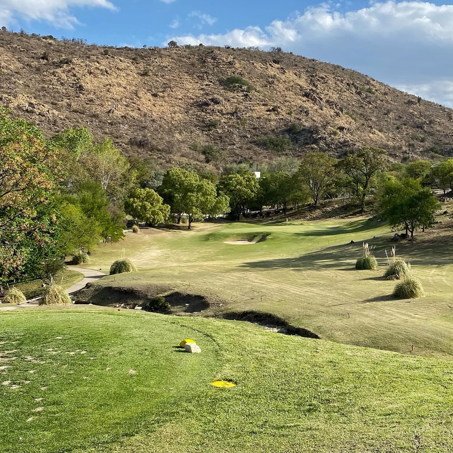 EL POTRERILLO DE LARRETA C. CLUB