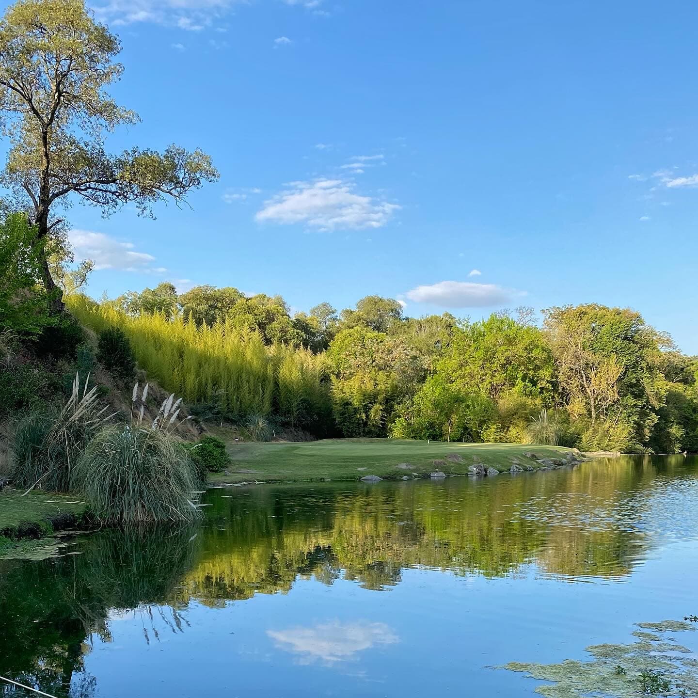 EL POTRERILLO DE LARRETA C. CLUB