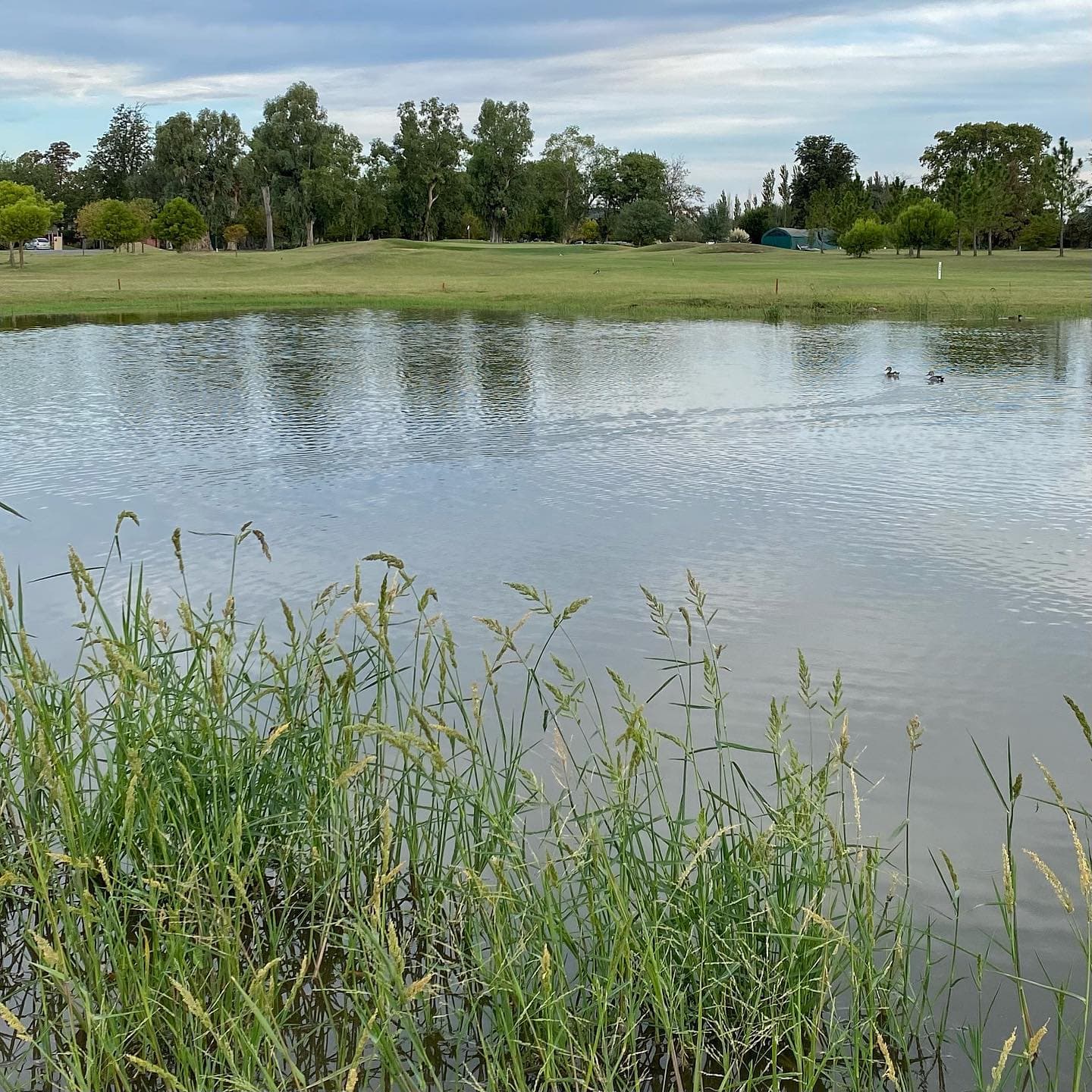 ESTANCIAS LA RINCONADA CLUB DE CAMPO