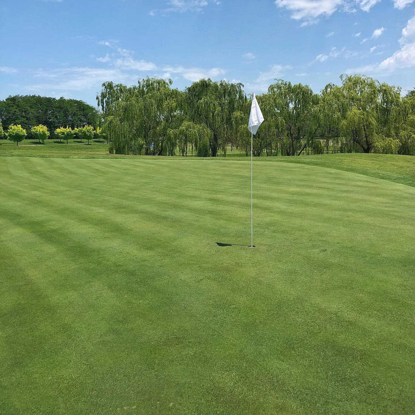 EVERLINKS CLUB DE GOLF