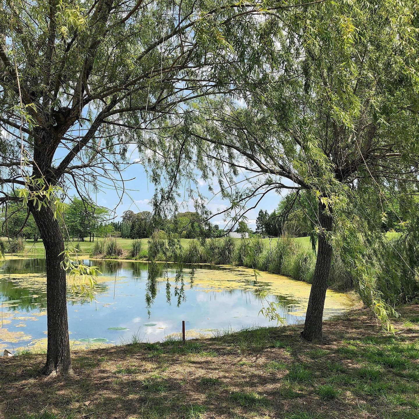 EVERLINKS CLUB DE GOLF