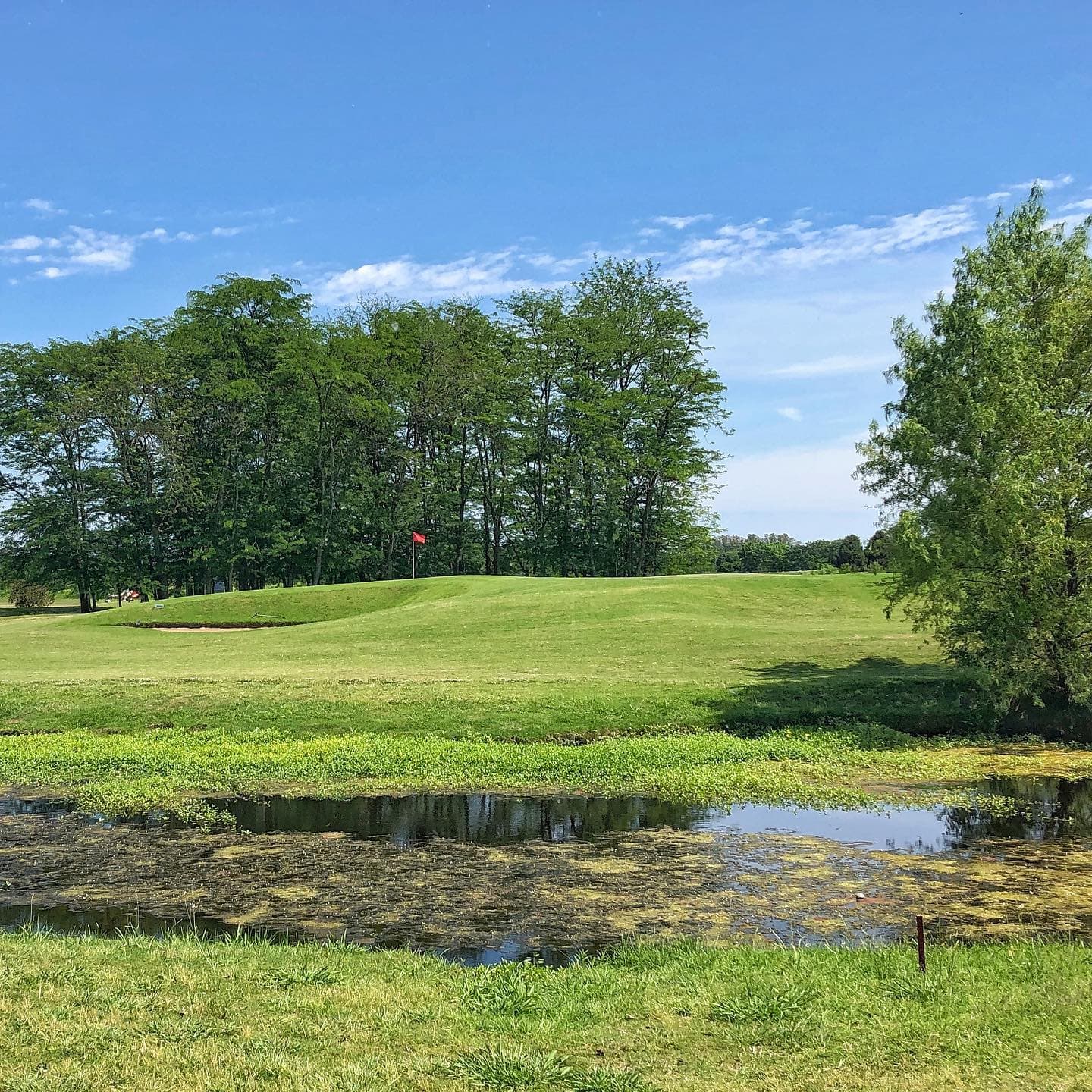 EVERLINKS CLUB DE GOLF