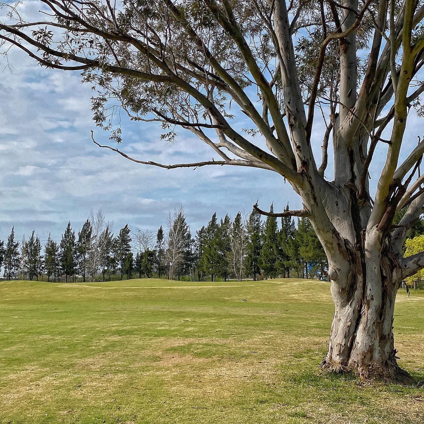 FINCAS DE SAN VICENTE CLUB DE CAMPO S. A.